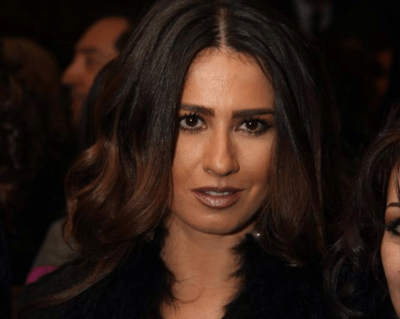 ميسون أبو أسعد مهرّبة مخدرات وتتعرّض للخطف!