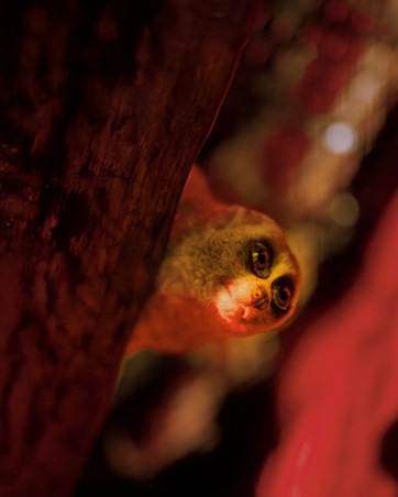 احتفلي مع عائلتك بالهالوين في فعاليات دبي القابضة للترفيه