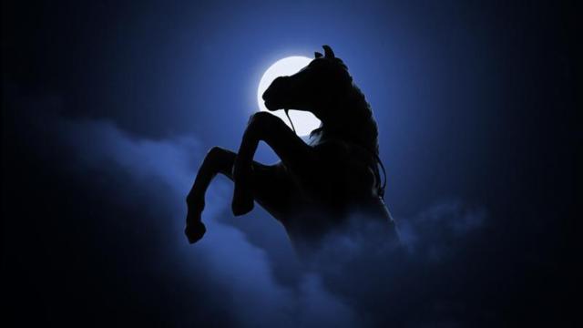 ما معنى رؤية الحصان في الحلم نواعم