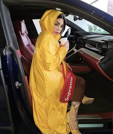 هيفاء وهبي تدخل عالم 