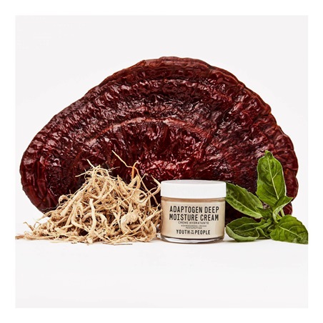 المكونات المتكيفة Adaptogens : سرّ البشرة المتوازنة هذا الخريف