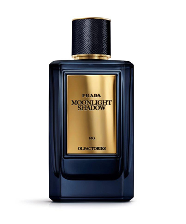 العطور، الهدية الأكثر روعة في موسم الأعياد! إليكِ خياراتنا