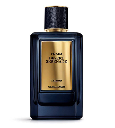 العطور، الهدية الأكثر روعة في موسم الأعياد! إليكِ خياراتنا