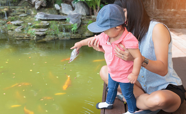 7 نصائح لسلامة طفلك أثناء اللعب في الحديقة