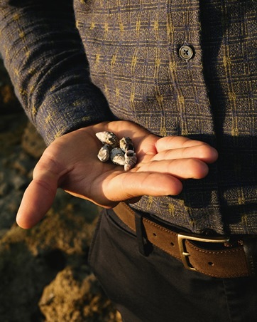 رمضان 2026 مع تيد بيكر: وردة بريطانية بروح عصرية