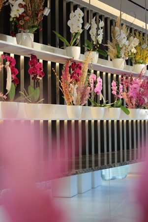 زهور الأمل تزهر في بيروت: The Flower Society تفتتح فصلًا جديدًا بقيادة زويا صقر