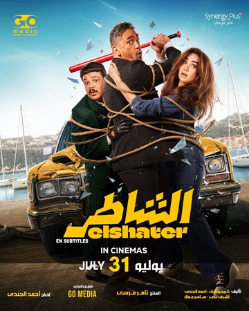 فيديو 