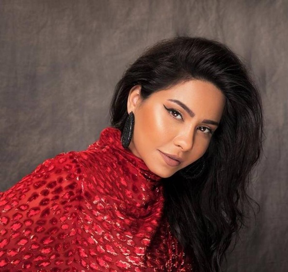 شيرين عبد الوهاب وفضل شاكر معاً بـ«حدوتة» مصرية