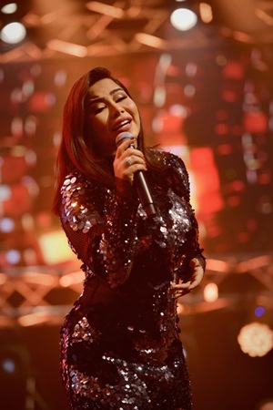شيرين عبد الوهاب وحسام حبيب...هل حسمت أمرها؟