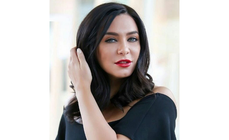 تصريحات سلاف فواخرجي تهدّد عودتها إلى مصر