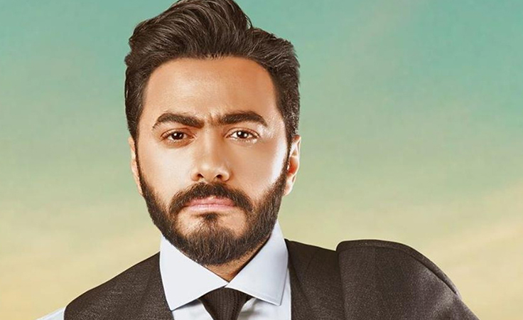 خاص – أجور نجوم الغناء في موسم الصيف