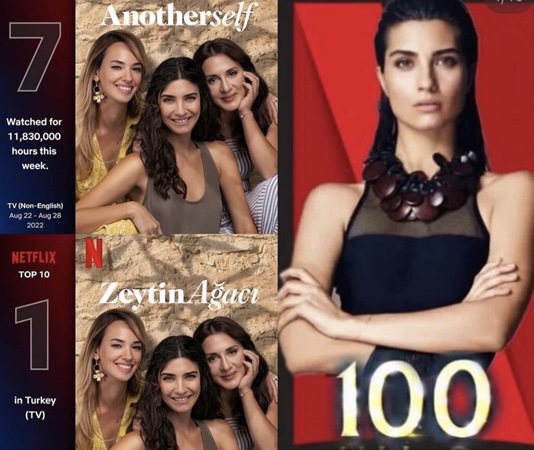 توبا بويوكستين في ورطة بسبب 40 ألف يورو