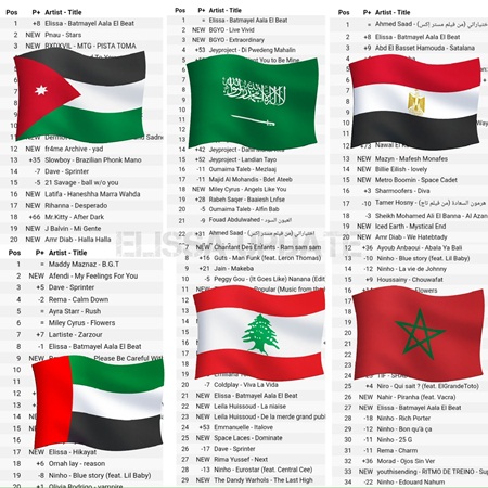 إليسا تحسم قرارها بـ48 ساعة