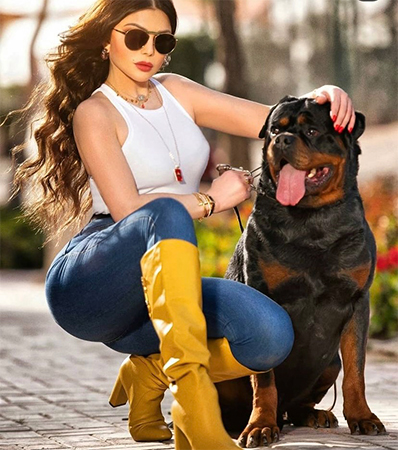 هيفاء وهبي ووائل كفوري ومفاجأة آخر الصيف