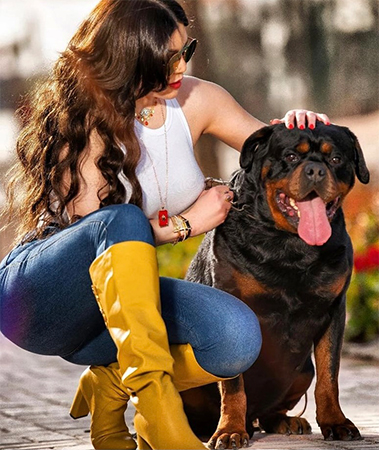 هيفاء وهبي ووائل كفوري ومفاجأة آخر الصيف