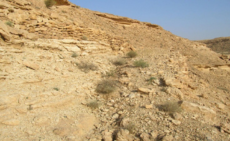 فيديو: بهذا المكان بدأت حرب البسوس
