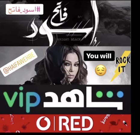 أجر هيفاء وهبي بملايين الدولارات في 