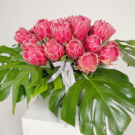 زويا صقر تفتتح The Flower Society مركزاً للورود والفن في دبي