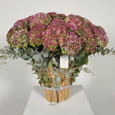 زويا صقر تفتتح The Flower Society مركزاً للورود والفن في دبي