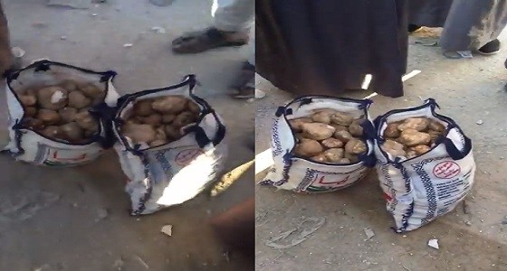 بالفيديو: نبات الفقع يظهر في عرعر وهذا ثمنه