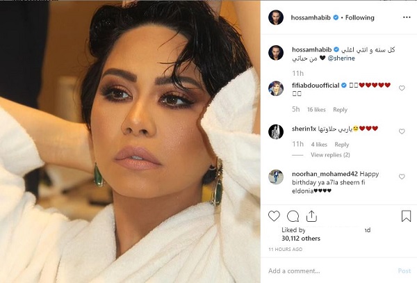 حسام حبيب يُهنىء شيرين عبد الوهاب بكلمات رقيقة في عيد ميلادها