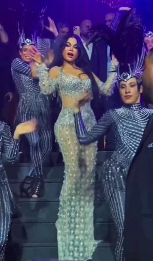 هيفاء وهبي توقف حفلها مؤقتاً وتقص فستانها على المسرح