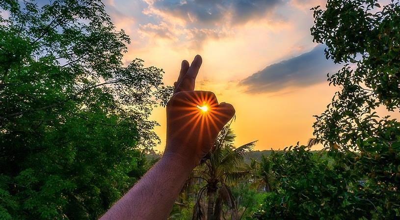سكان خميس مشيط 2020 النواعم