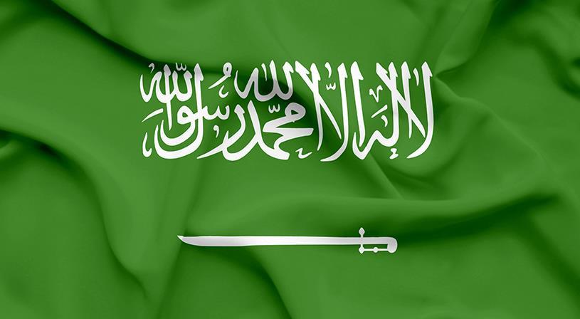 عدد سكان السعودية الأصليين 2021