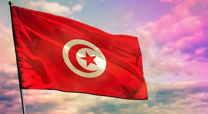 Ø¹Ø¯Ø¯ Ø³ÙƒØ§Ù† ØªÙˆÙ†Ø³ 2021 Ù†ÙˆØ§Ø¹Ù…